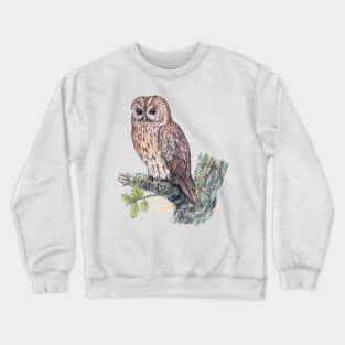 Tawny Owl Crewneck Sweatshirt